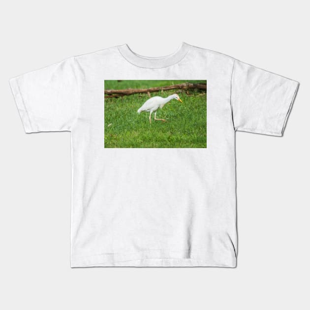 Walking Cattle Egret Kids T-Shirt by KensLensDesigns